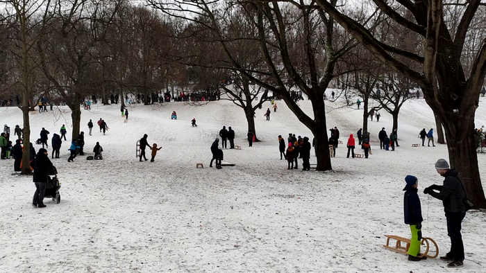 People having fun and sledding at Volkspark Friedrichshain