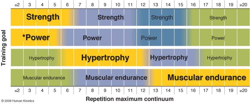 How many reps to build strength/muscle/endurance